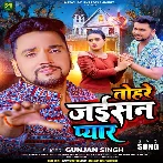 Tohare Jaisan Pyar (Gunjan Singh)