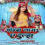 Godwa Laga Ae Dulha (Anu Dubey)