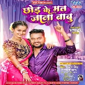 Chhod Ke Mat Jana Babu (Gunjan Singh , Saraswati Sargam) 2024 Mp3 Song