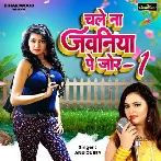 Chale Na Jawaniya Pe Jor (Anu Dubey) 2024 Mp3 Song