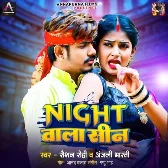 Night Wala Sin (Raushan Rohi, Anjali Bharti) 2024 Mp3 Song
