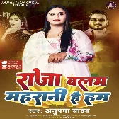 Raja Balam Maharani Hai Hum (Anupma Yadav) 2024 Mp3 Song